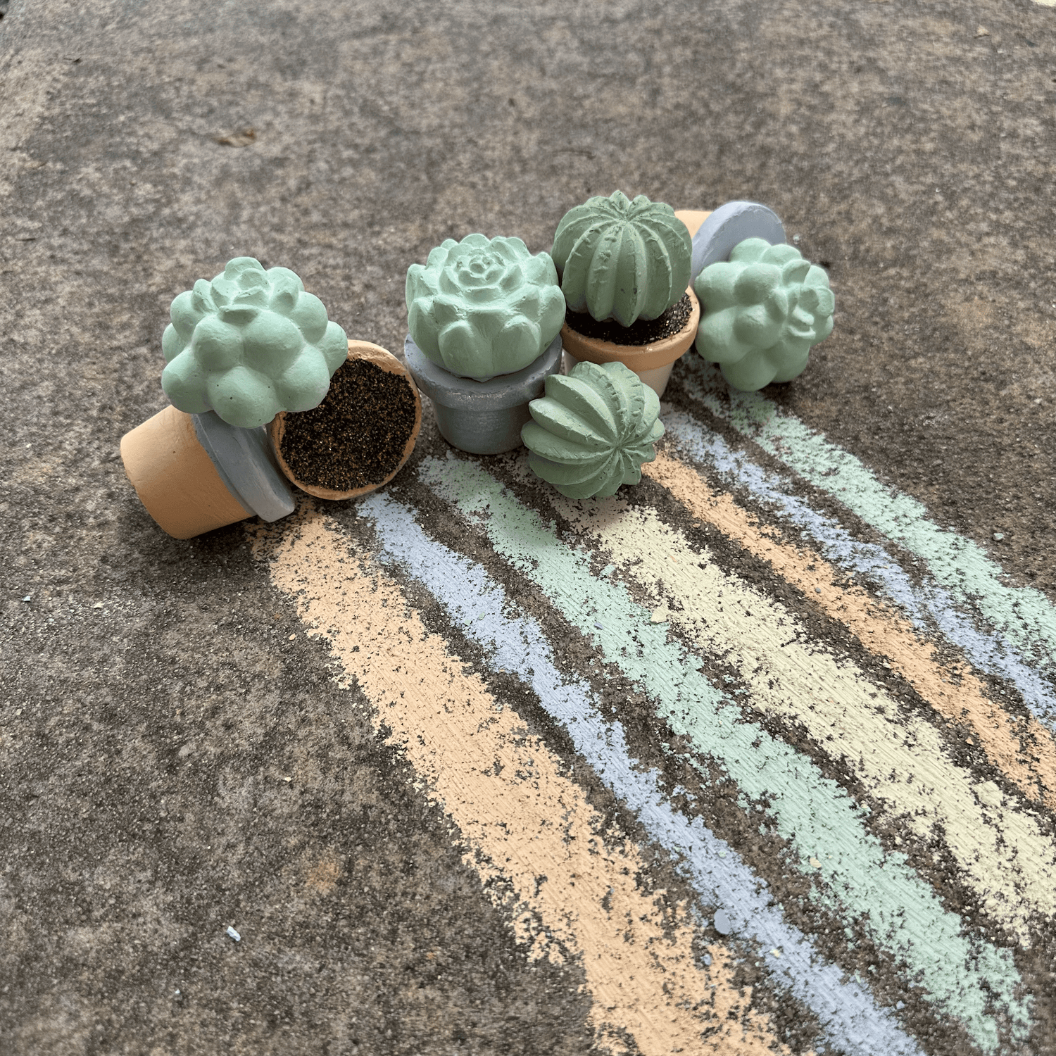 TWEE Maya & Siona's Succulents Handmade Sidewalk Chalk